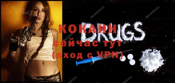 скорость Гусев
