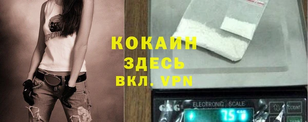 скорость Гусев