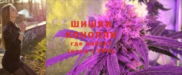 скорость Гусев
