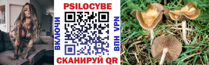 Купить  Фрязино  Псилоцибиновые грибы мухоморы 
