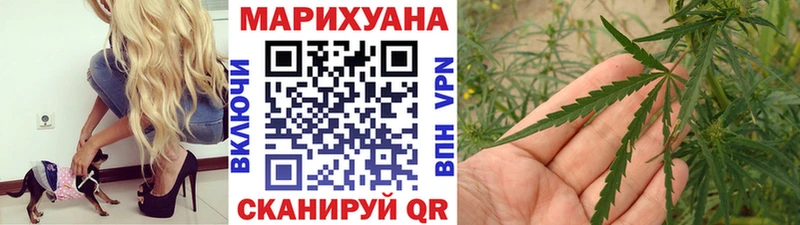 Купить  Фрязино  Каннабис Bruce Banner 
